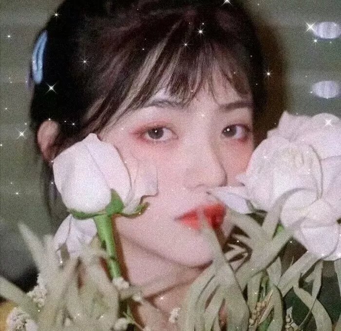 顽皮豹之贵格会