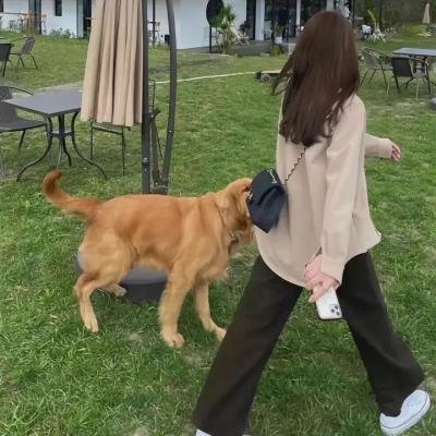 撒旦的奴隶