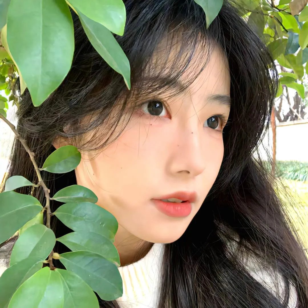 虎王归来